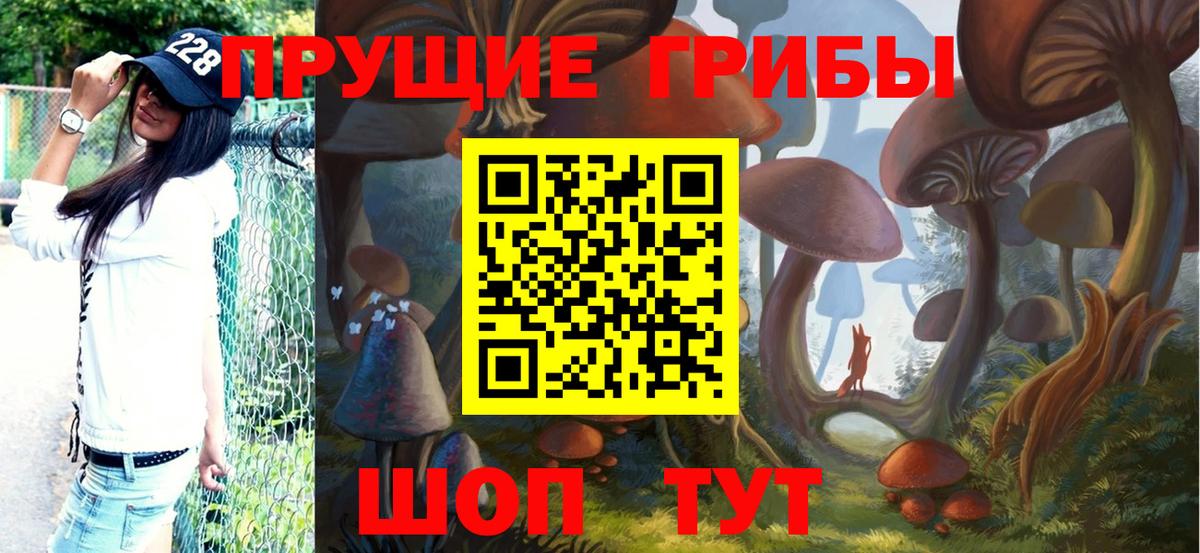 Псилоцибиновые грибы Psilocybine cubensis Георгиевск