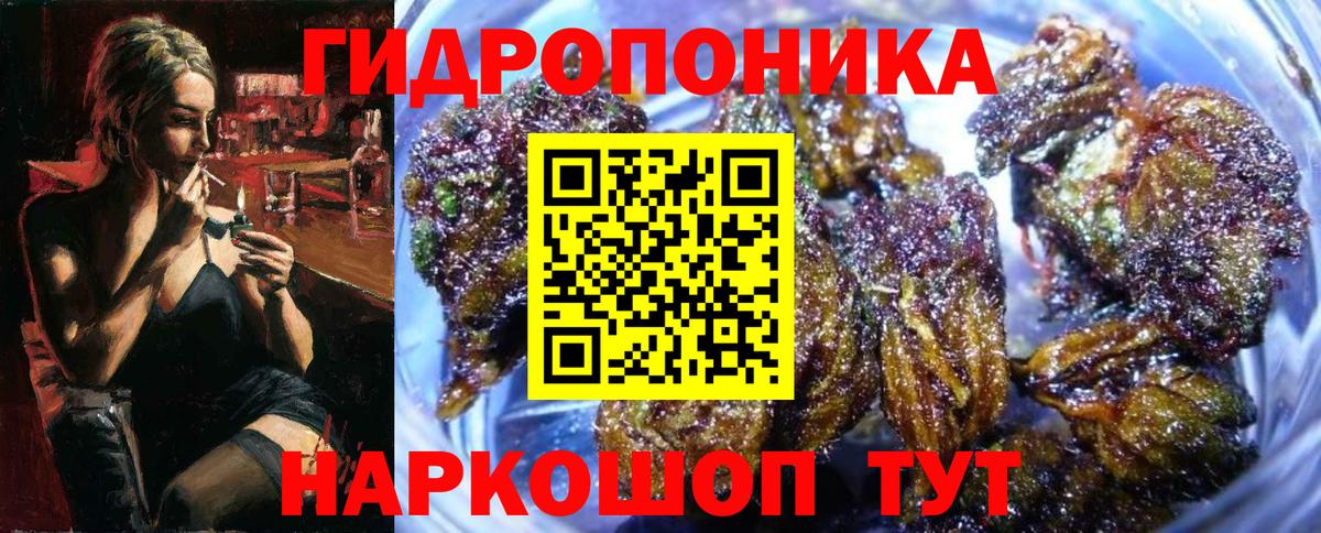 Конопля план Георгиевск